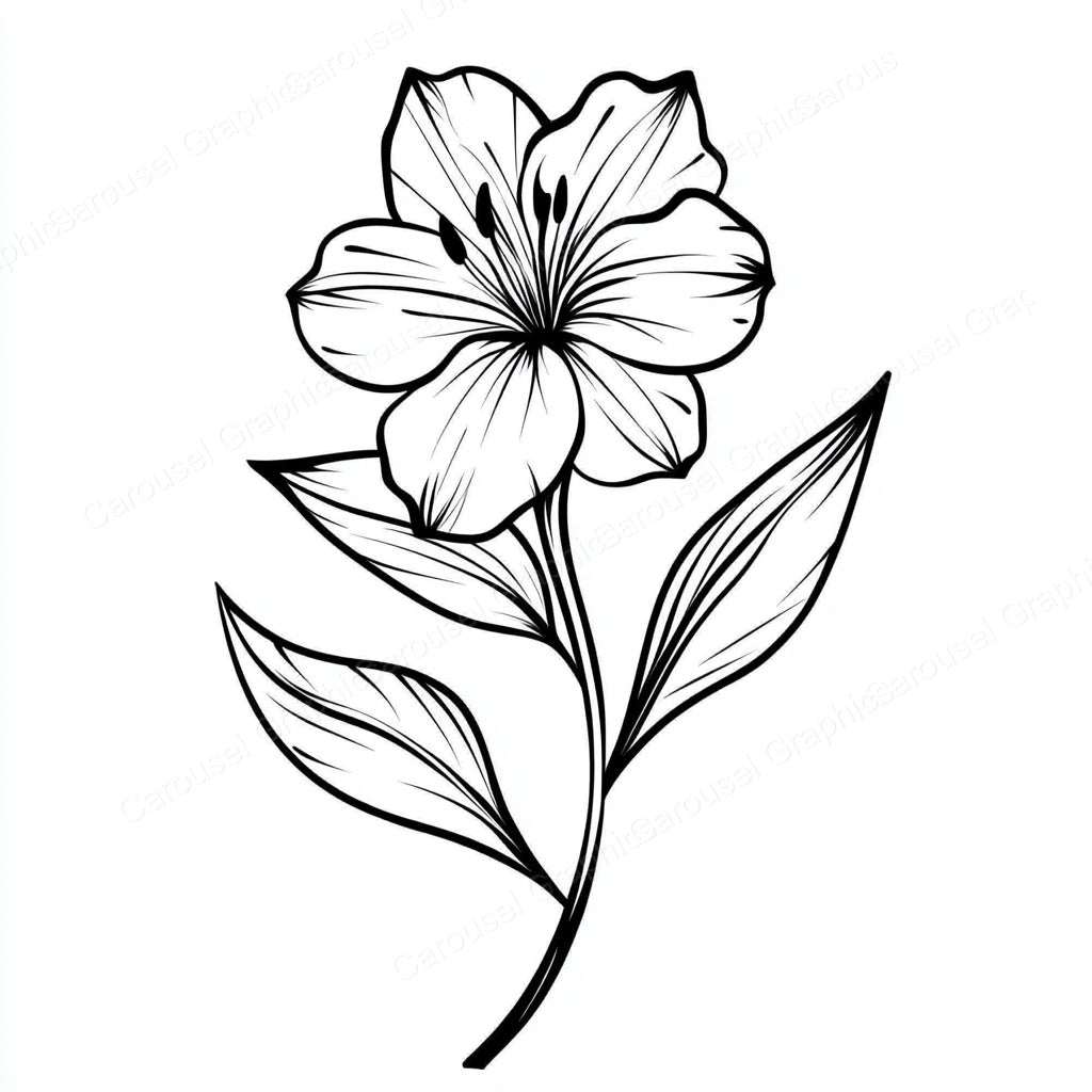 Alstroemeria Vector Graphic preview
