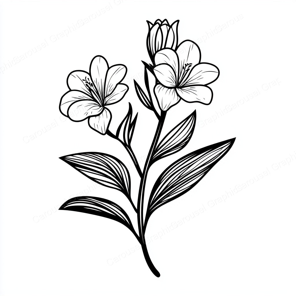 Alstroemeria Vector Graphic preview