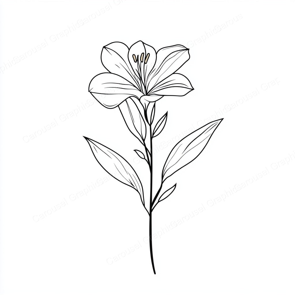 Alstroemeria Vector Graphic preview