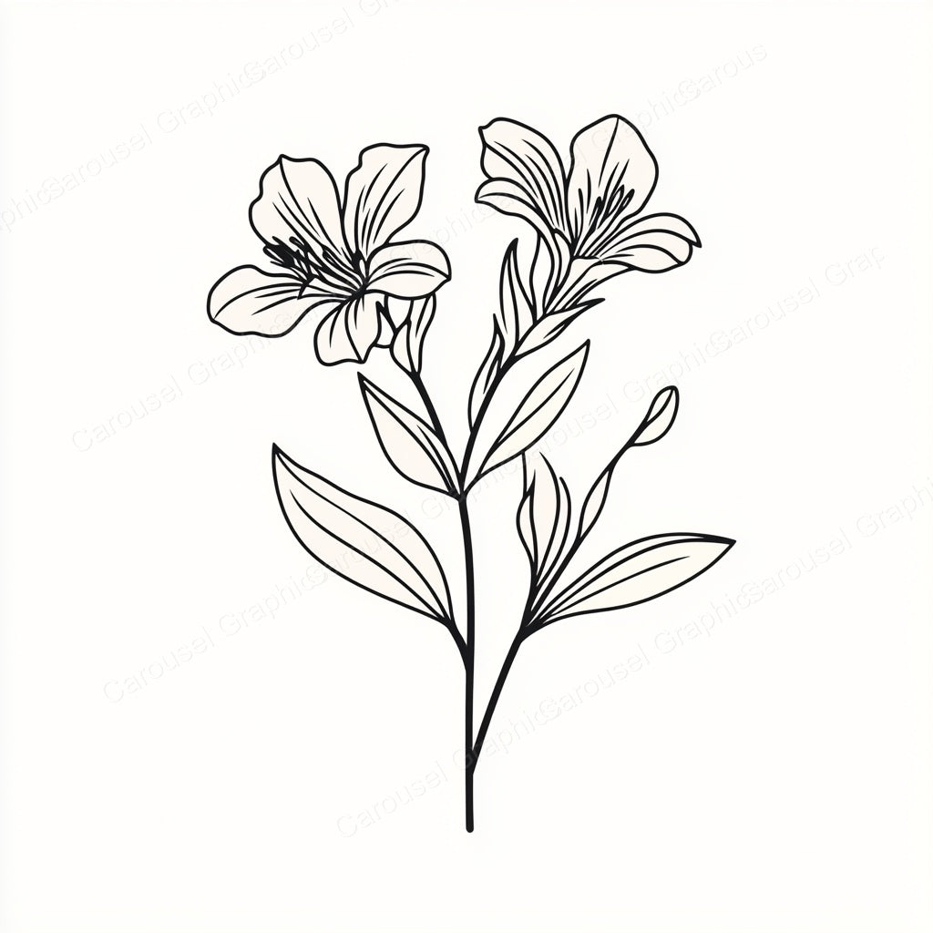 Alstroemeria Vector Graphic preview