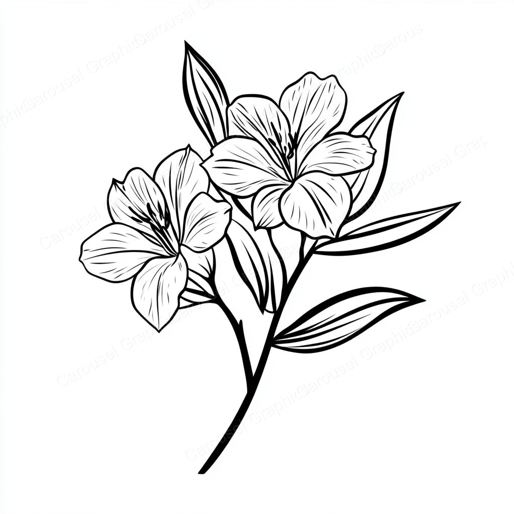 Alstroemeria Vector Graphic preview