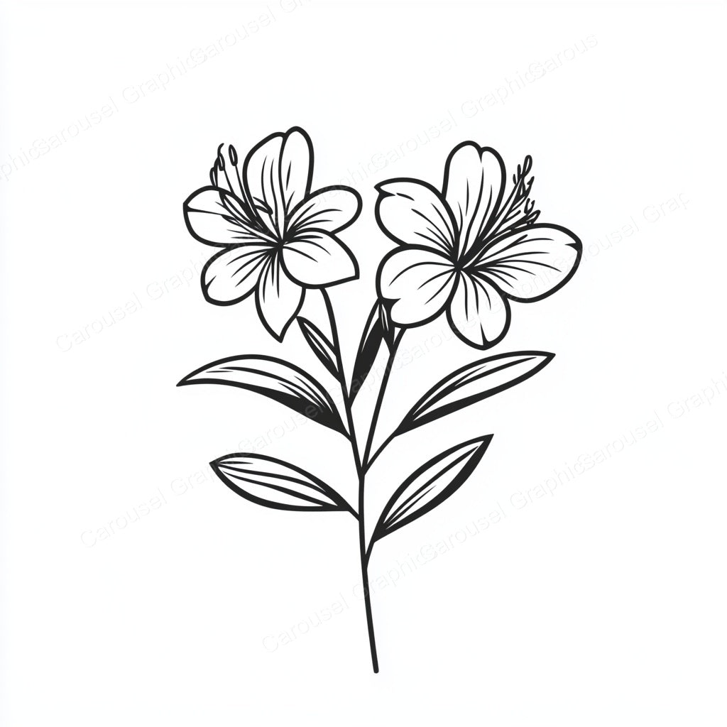 Alstroemeria Vector Graphic preview