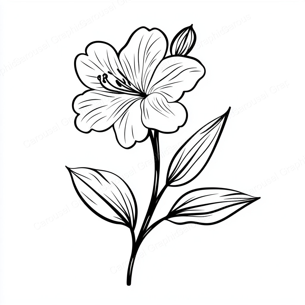 Alstroemeria Vector Graphic preview