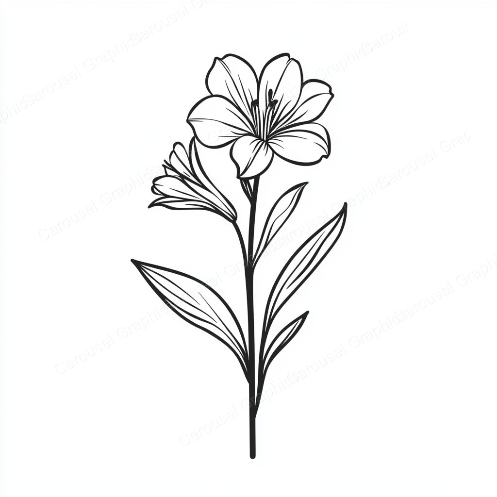 Alstroemeria Vector Graphic preview