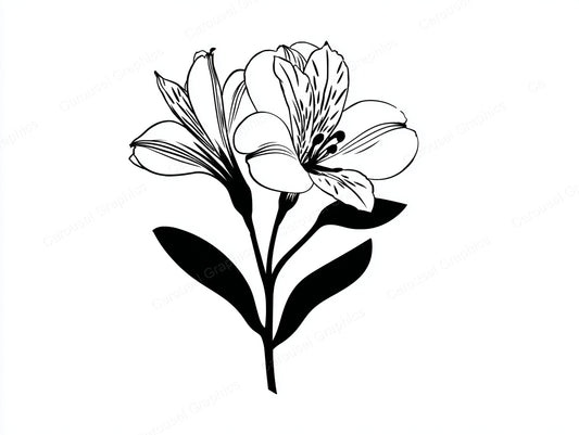 Alstroemeria Vector Graphic preview