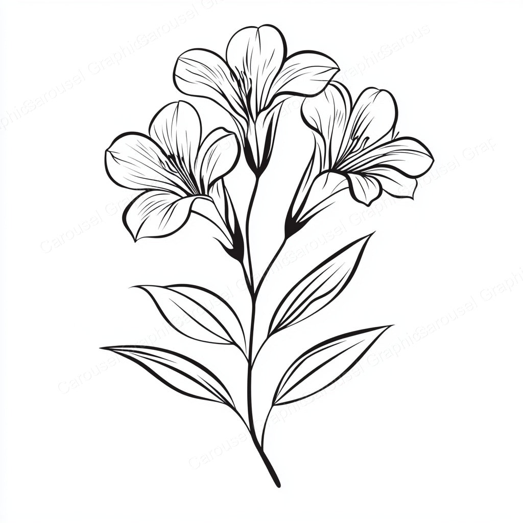 Alstroemeria Vector Graphic preview