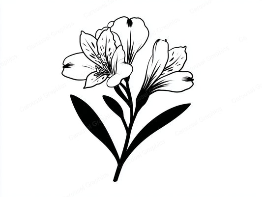 Alstroemeria Vector Graphic preview