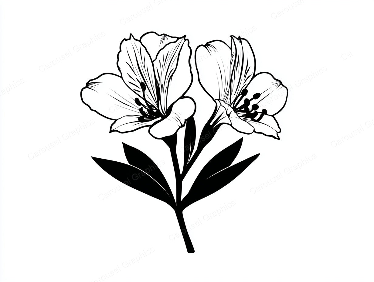 Alstroemeria Vector Graphic preview