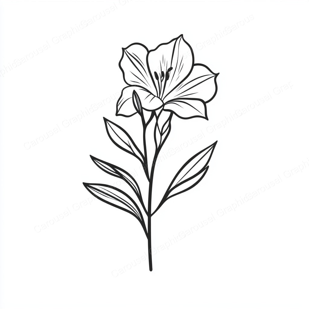 Alstroemeria Vector Graphic preview