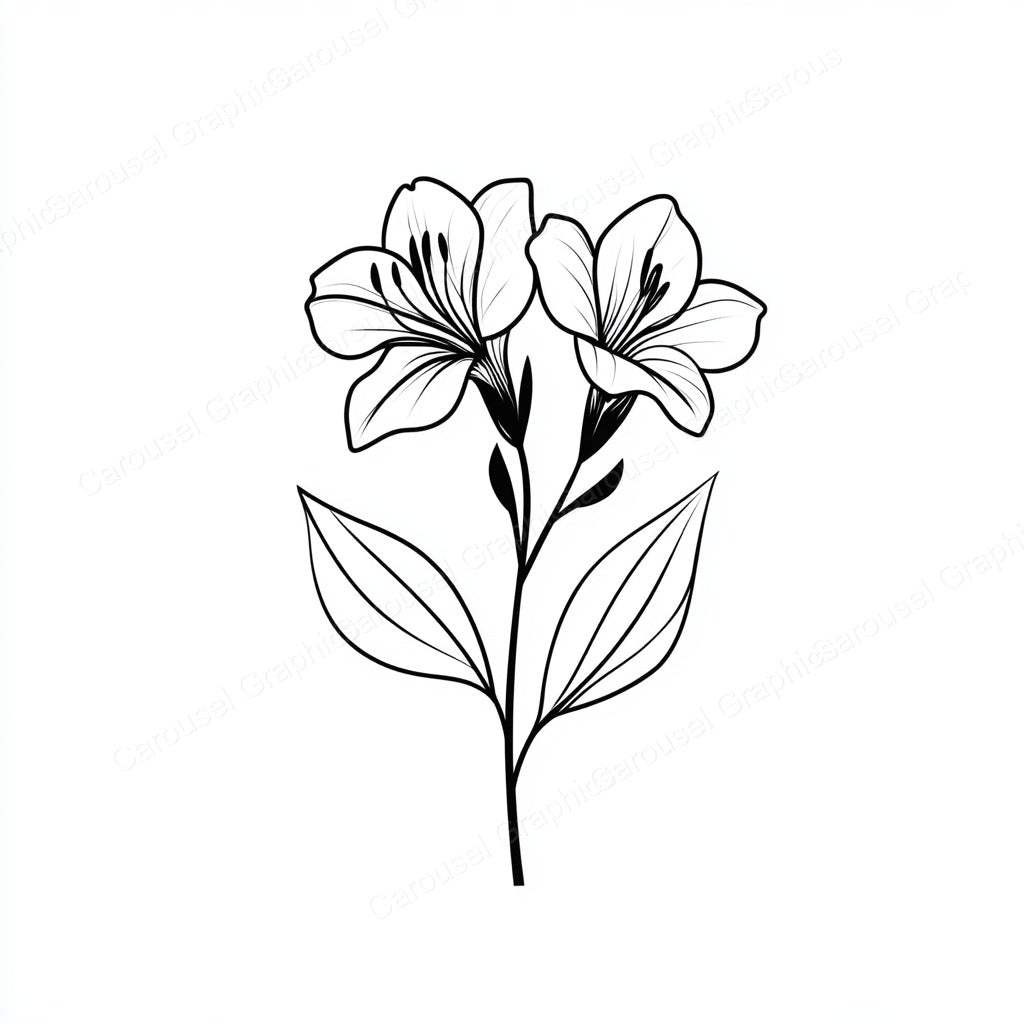 Alstroemeria Vector Graphic preview