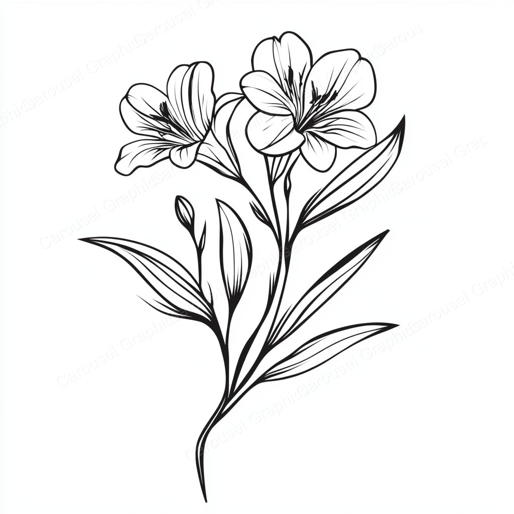 Alstroemeria Vector Graphic preview