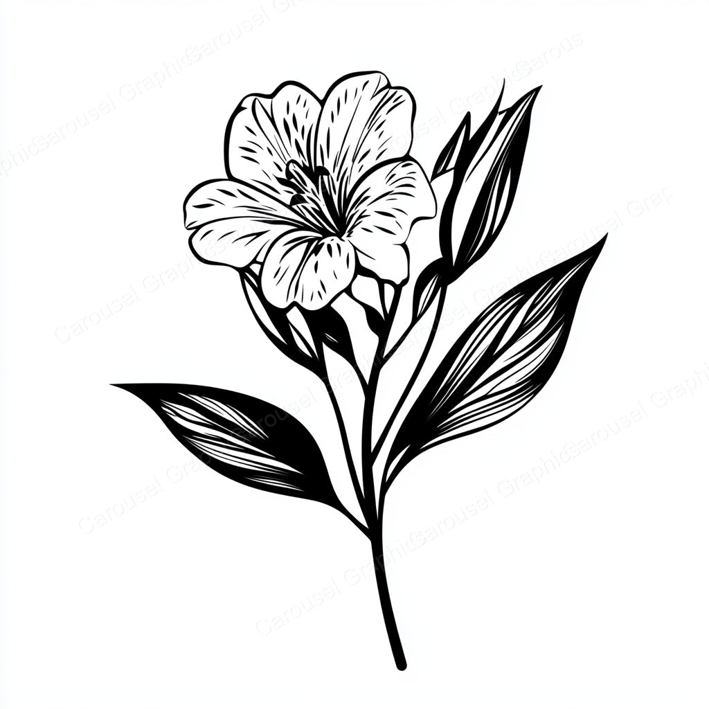 Alstroemeria Vector Graphic preview