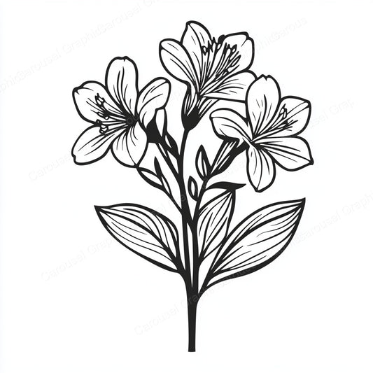 Alstroemeria Vector Graphic preview