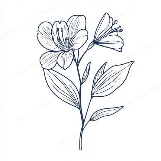Alstroemeria Vector Graphic preview