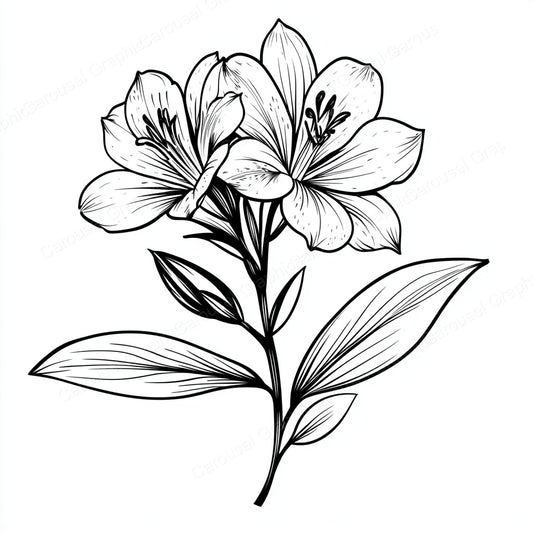 Alstroemeria Vector Graphic preview