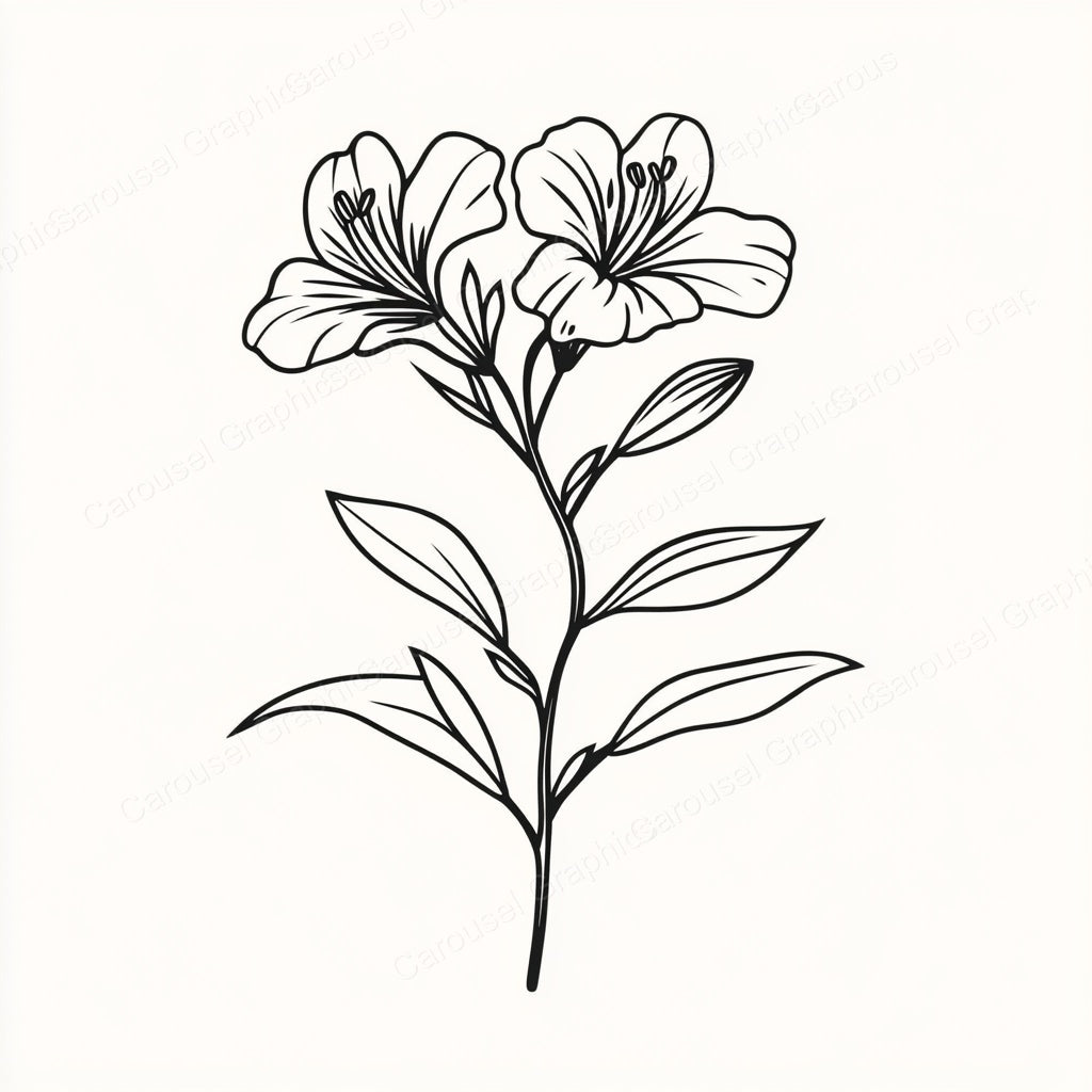 Alstroemeria Vector Graphic preview
