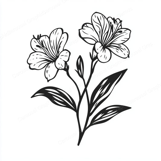 Alstroemeria Vector Graphic preview