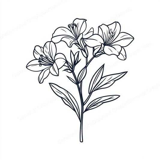 Alstroemeria Vector Graphic preview