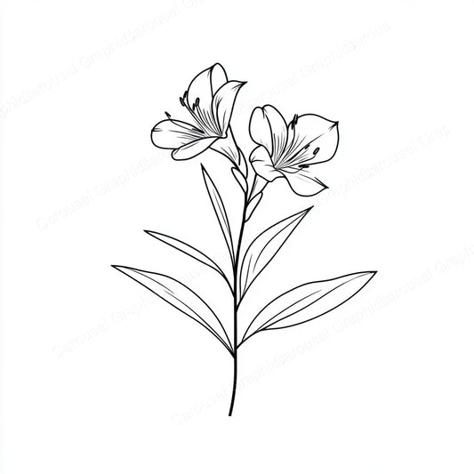 Alstroemeria Vector Graphic preview
