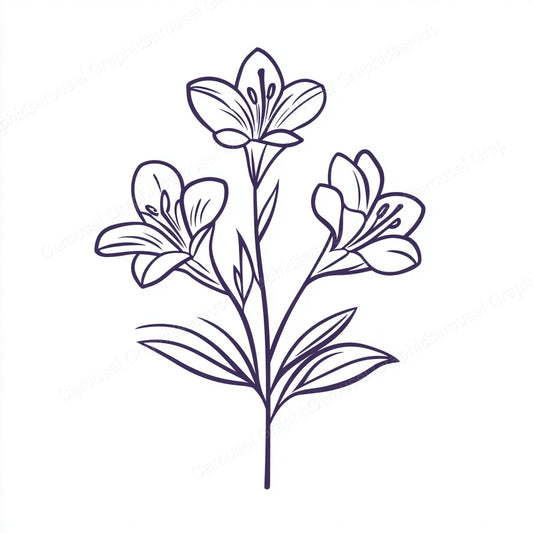 Alstroemeria Vector Graphic preview