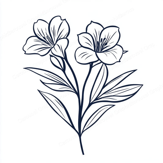 Alstroemeria Vector Graphic preview