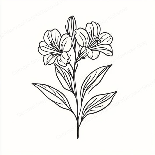 Alstroemeria Vector Graphic preview