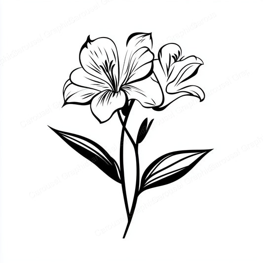 Alstroemeria Vector Graphic preview