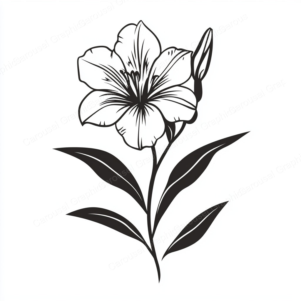 Alstroemeria Vector Graphic preview