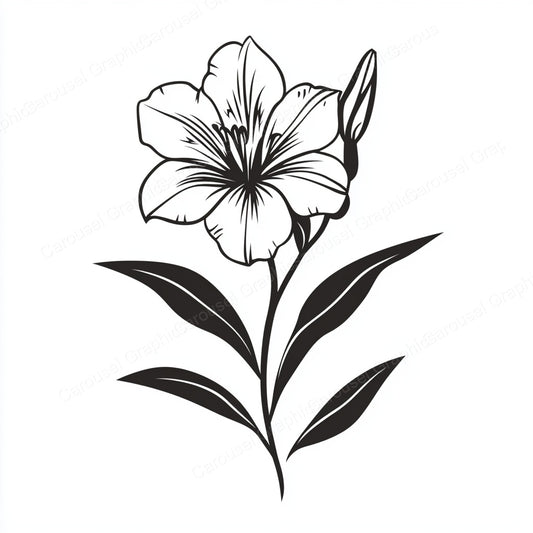 Alstroemeria Vector Graphic preview