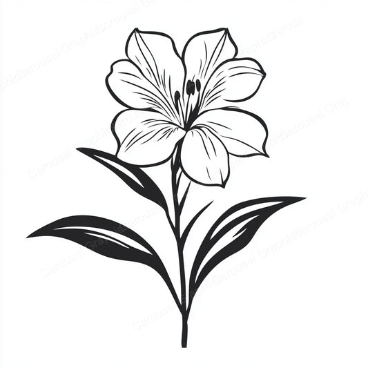 Alstroemeria Vector Graphic preview