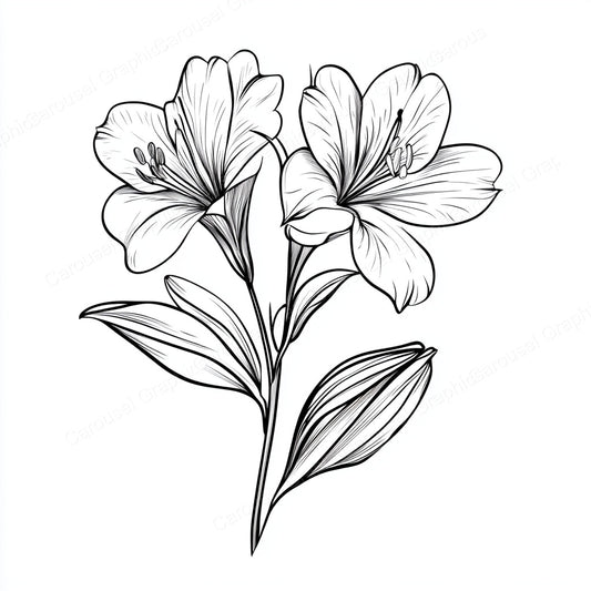 Alstroemeria Vector Graphic preview