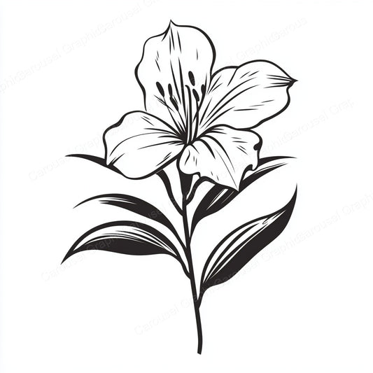 Alstroemeria Vector Graphic preview