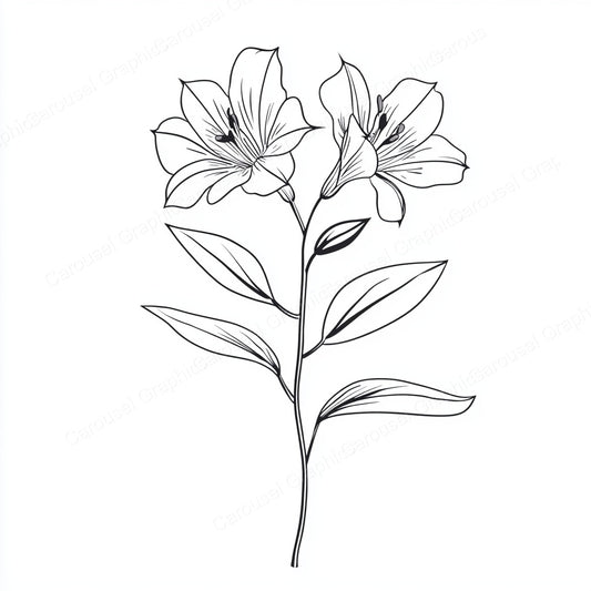 Alstroemeria Vector Graphic preview