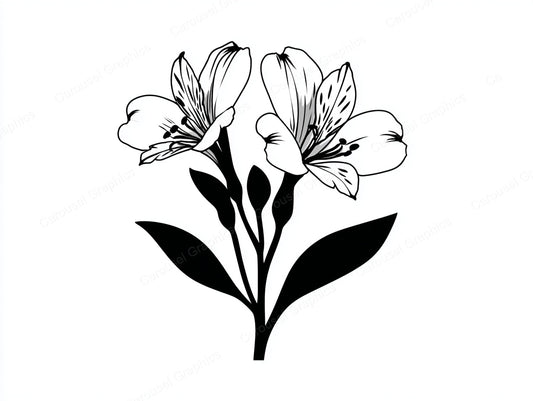 Alstroemeria Vector Graphic preview
