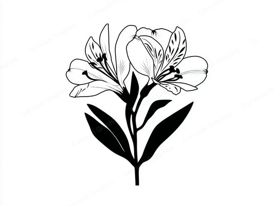 Alstroemeria Vector Graphic preview