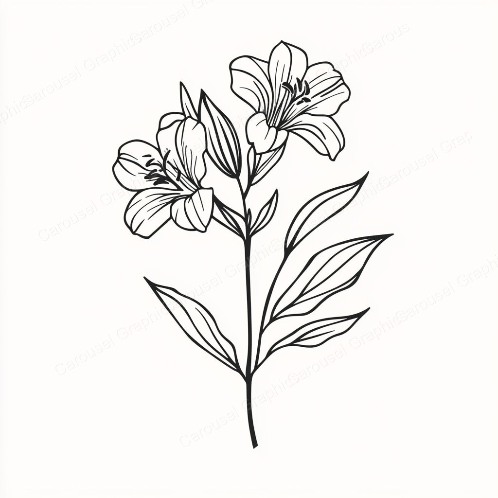 Alstroemeria Vector Graphic preview