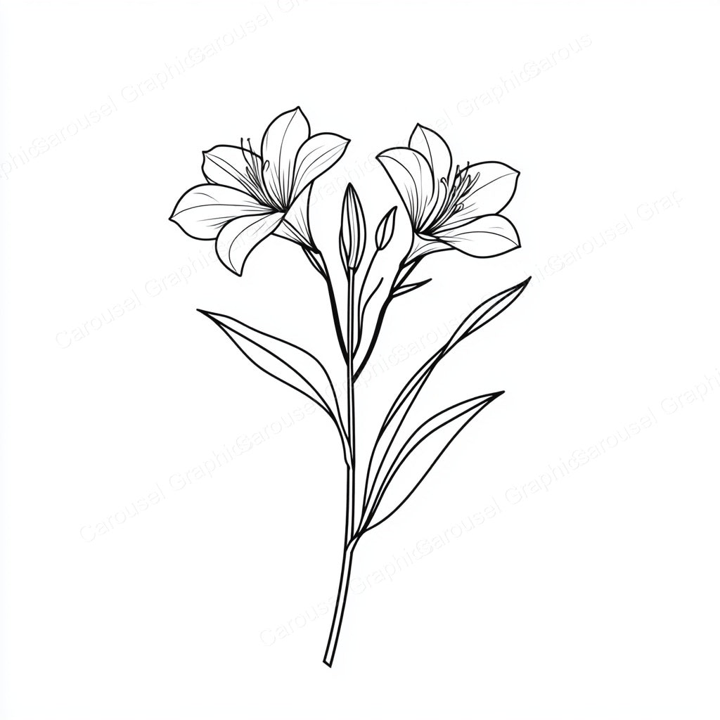 Alstroemeria Vector Graphic preview