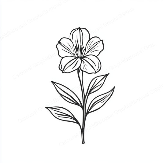 Alstroemeria Vector Graphic preview