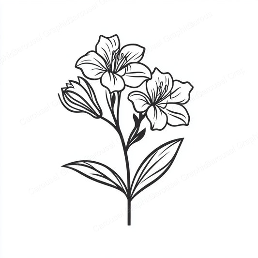 Alstroemeria Vector Graphic preview