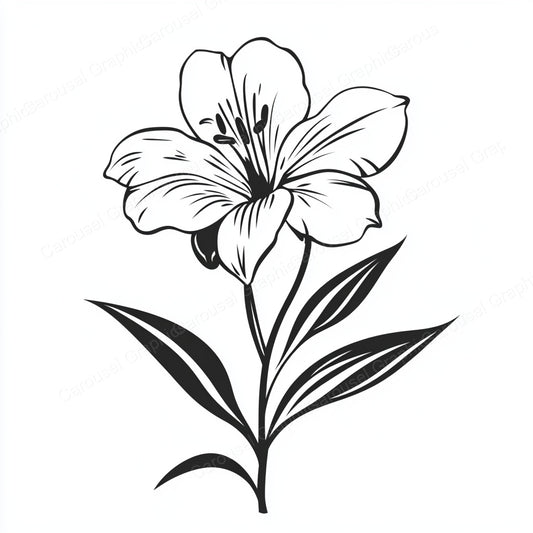 Alstroemeria Vector Graphic preview