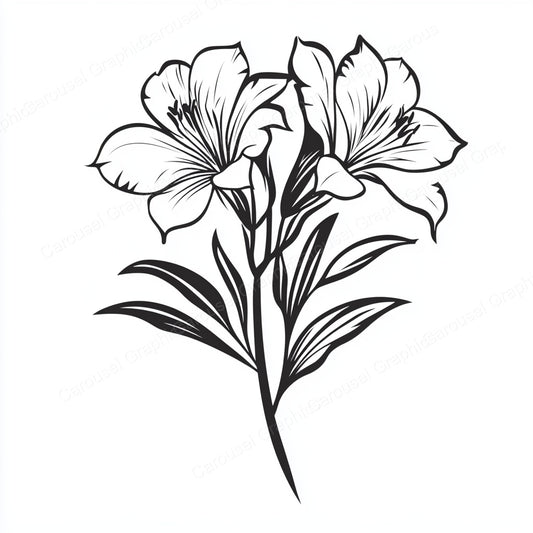 Alstroemeria Vector Graphic preview
