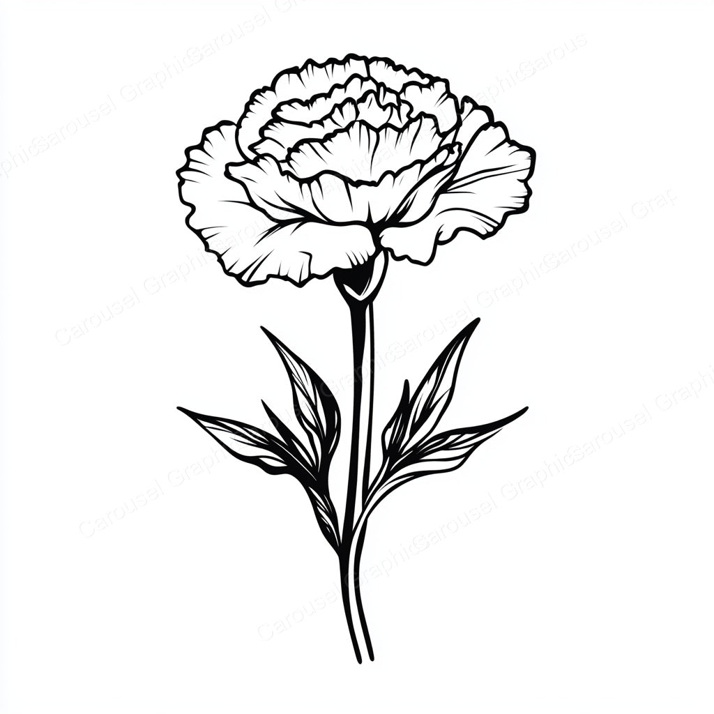 Carnation Vector Graphic preview