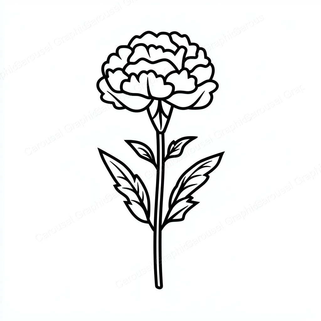 Carnation Vector Graphic preview