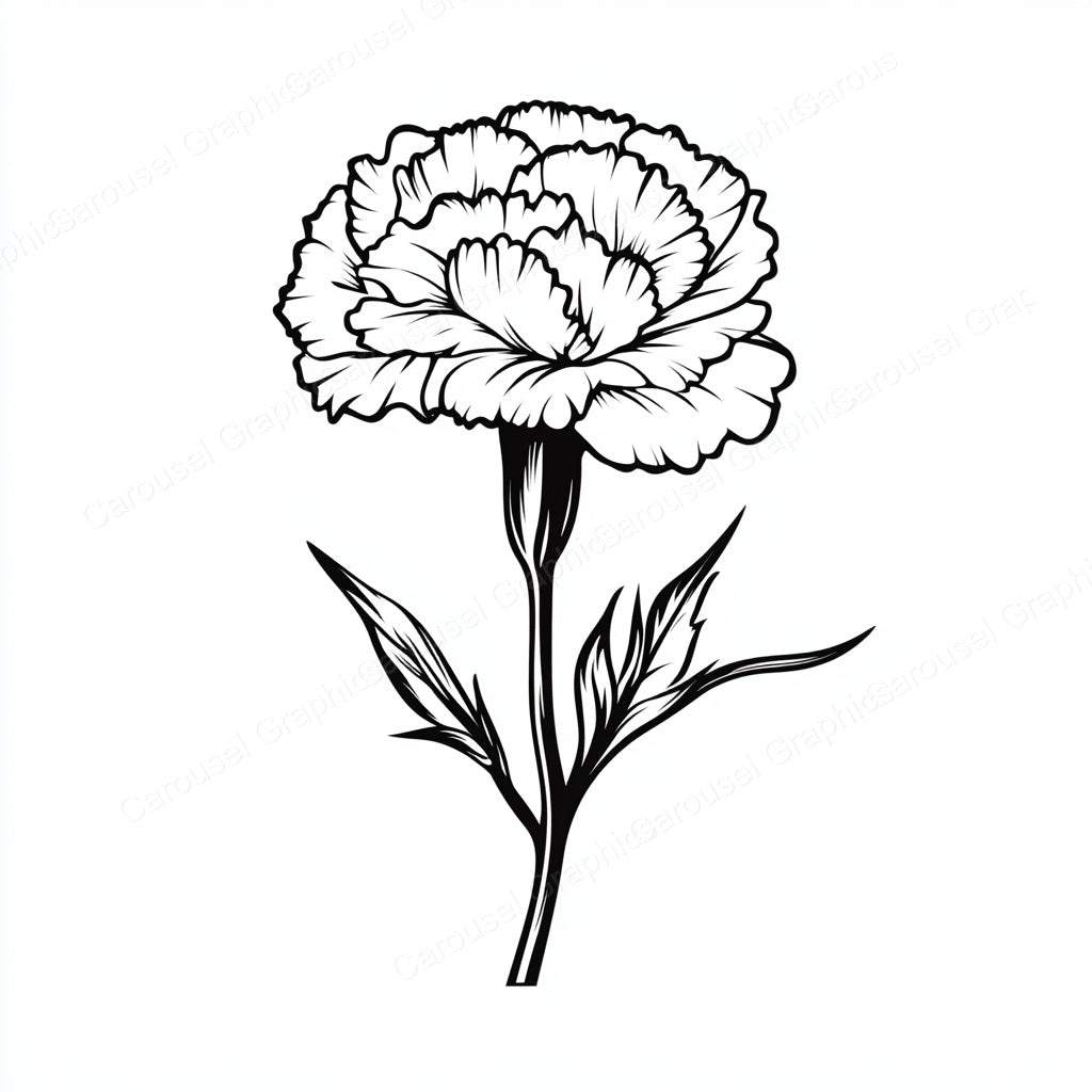 Carnation Vector Graphic preview