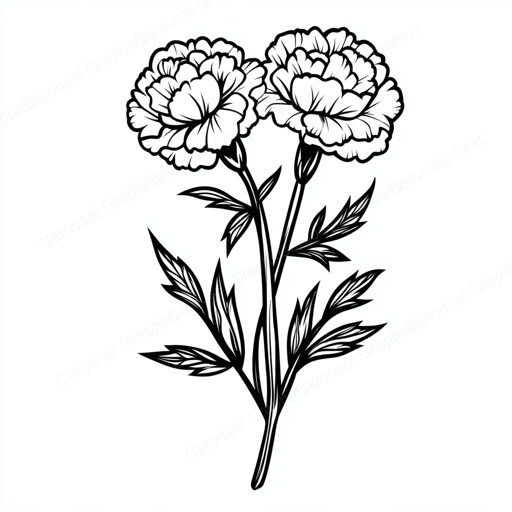 Carnation Vector Graphic preview
