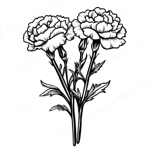 Carnation Vector Graphic preview