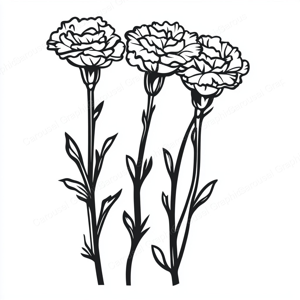 Carnation Vector Graphic preview