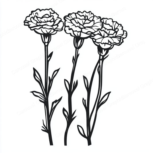 Carnation Vector Graphic preview