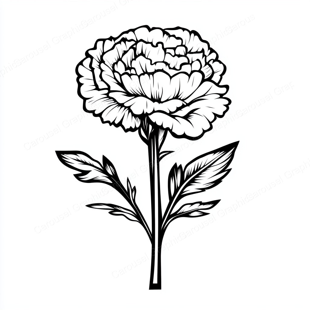 Carnation Vector Graphic preview
