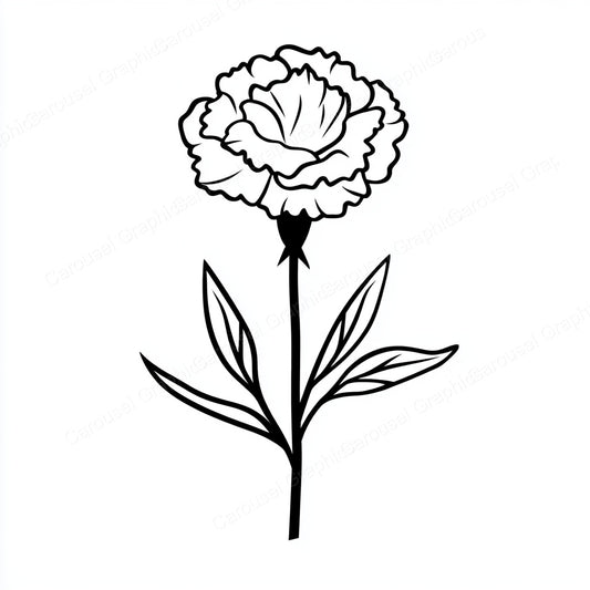Carnation Vector Graphic preview